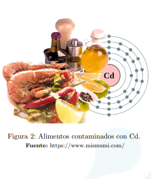 ¿Cadmio en nuestra mesa?