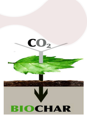 Artículo de Divulgación: Biocarbón, una alternativa a suelos contaminados